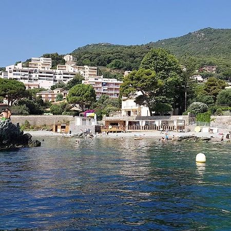 Charmant Studio Climatise Avec Parking, Au Coeur De Pietranera, Plage A 500M, Bastia A 2Km Ville-di-Pietrabugno Esterno foto